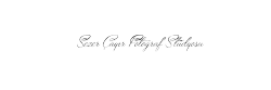 STÜDYO SEZER